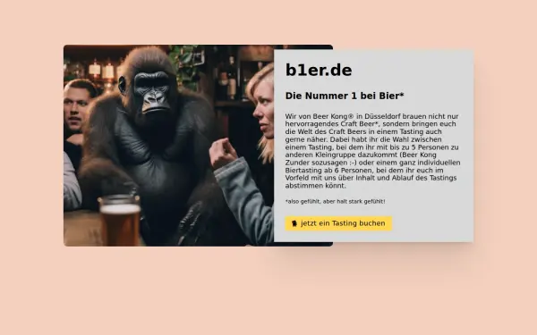b1er.de