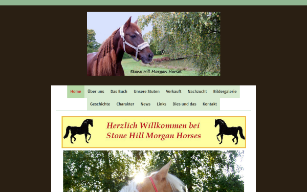 www.morganhorse.de
