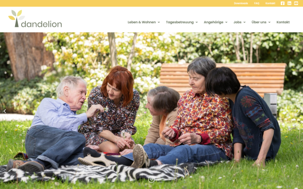 www.dandelion-basel.ch