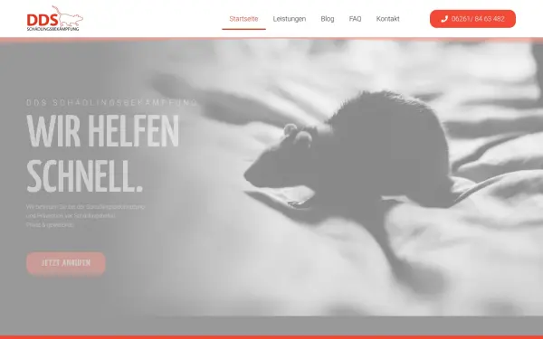 www.dds-kammerjaeger.de
