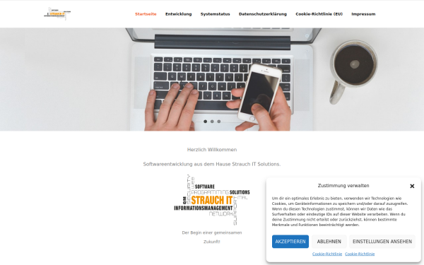 strauch-it.solutions
