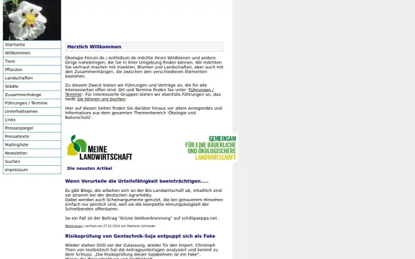 anthidium.de