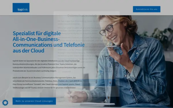 www.toplink.de