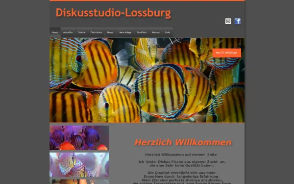 diskusstudio-lossburg.de