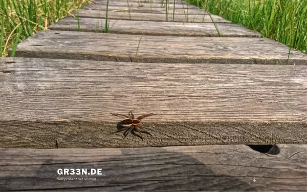 www.gr33n.de