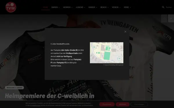 handball-weingarten.de