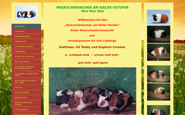 meerschweinchen-am-kieler-ostufer.de