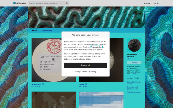 braincoral.audio