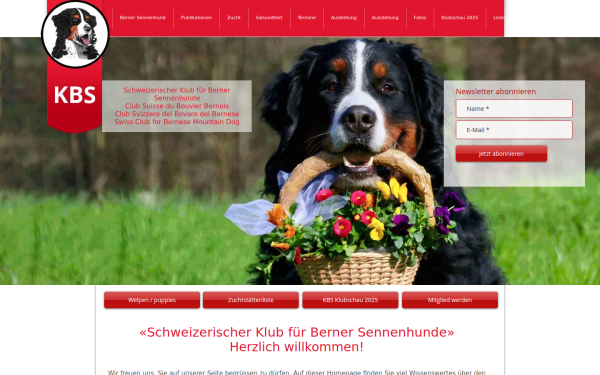 www.bernersennenhund.ch