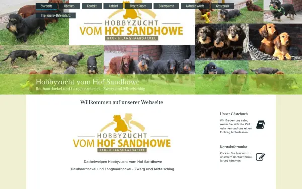dackel-sandhowe.de