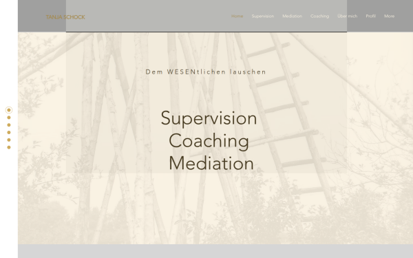 www.systemic-balance.com
