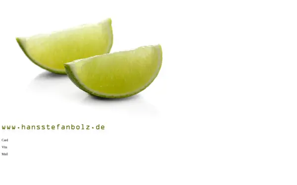 hansstefanbolz.de