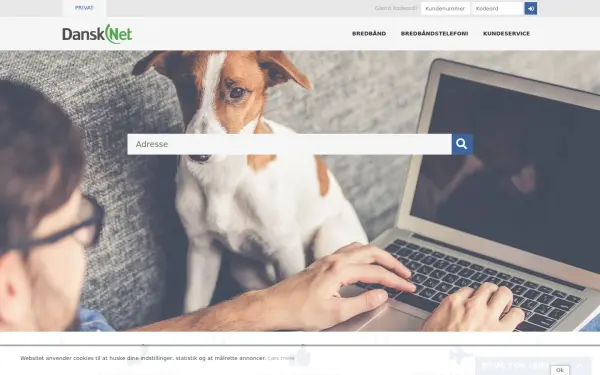 dansknet.dk