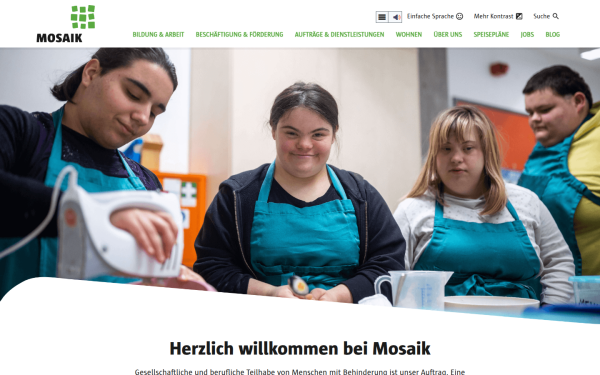 mosaik-berlin.de