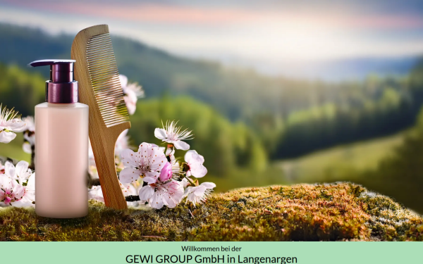 gewi-group.de
