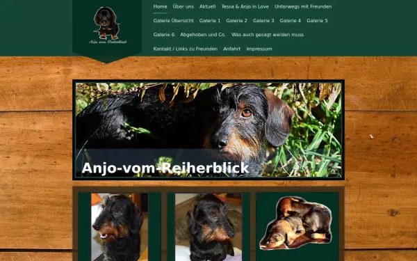 www.anjo-vom-reiherblick.de