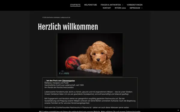 www.maltipoozucht.de