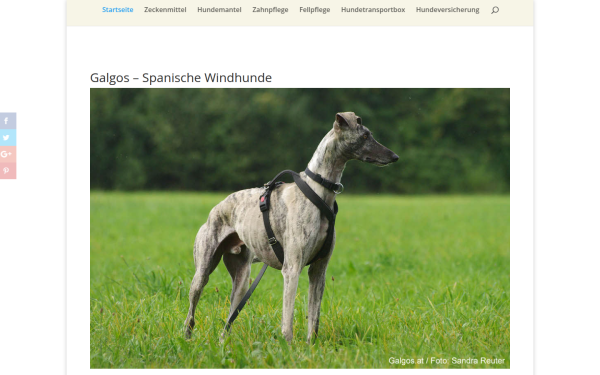 www.galgos.at