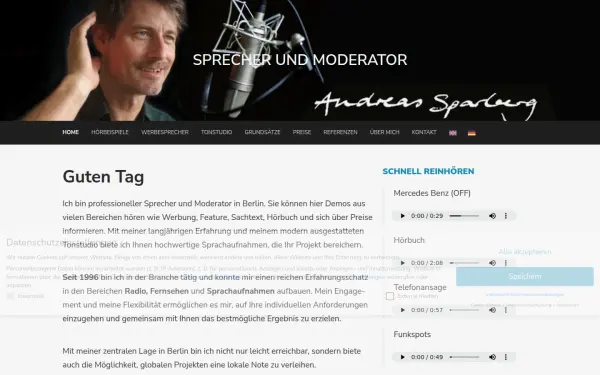 ad-voice.de