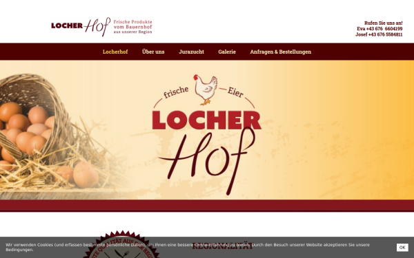 locherhof-pitztal.at