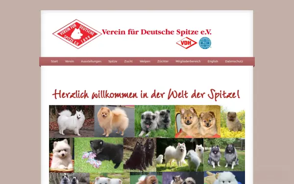 deutsche-spitze.de