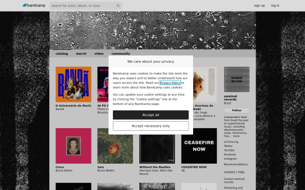 seminalrecords.bandcamp.com