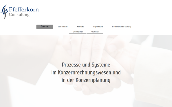 www.pfefferkorn-consulting.de