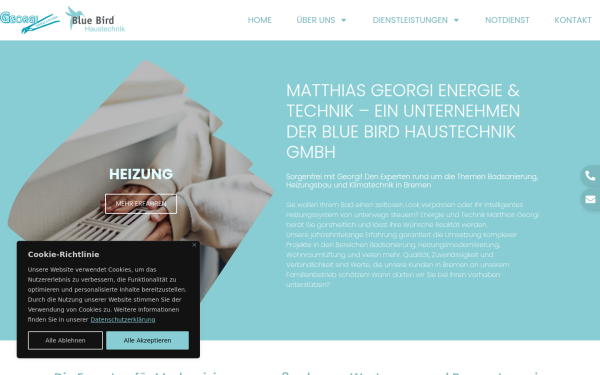 bluebirdhaustechnik.de