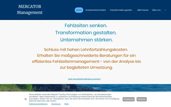 mercator-management.com