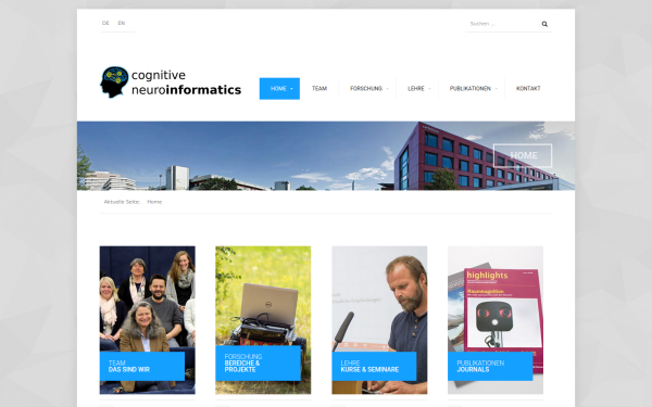www.cognitive-neuroinformatics.com
