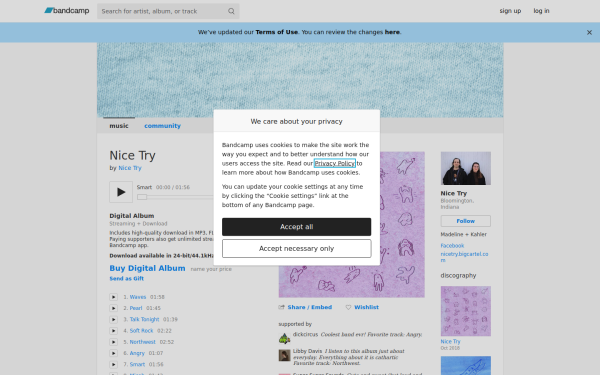 nicetry.bandcamp.com