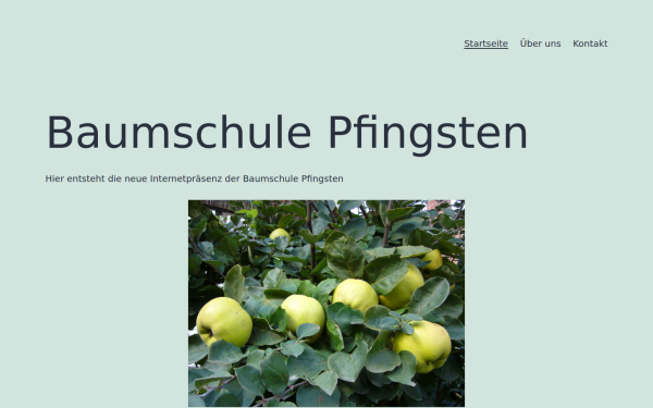 baumschule-pfingsten.de