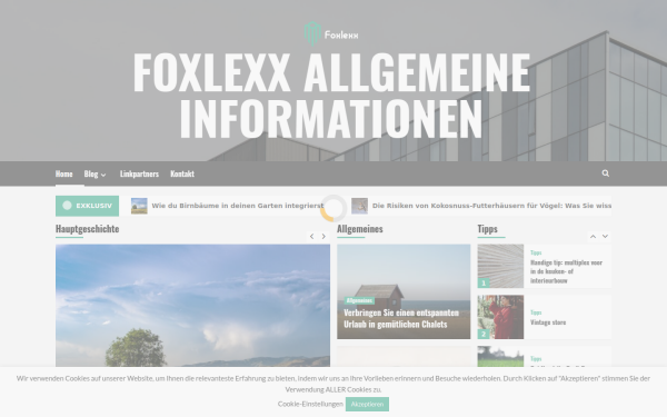 foxlexx.de