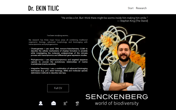www.ekintilic.com