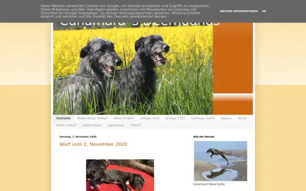 cunamara-deerhound.blogspot.com