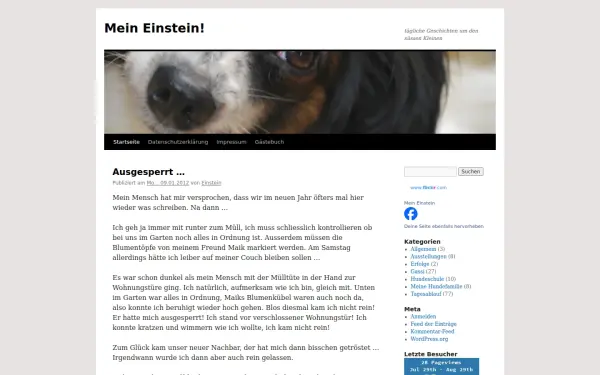 www.mein-einstein.de