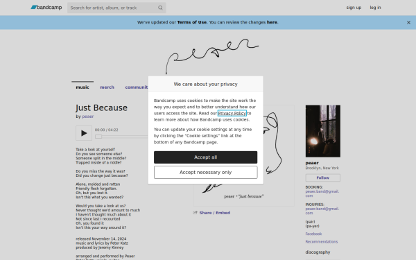 peaer.bandcamp.com