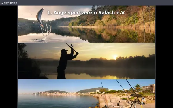 new.angelsportverein-salach.de