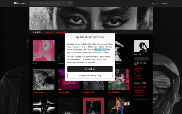 suiuzi.bandcamp.com