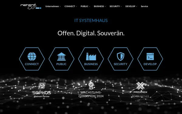 www.netzint.de