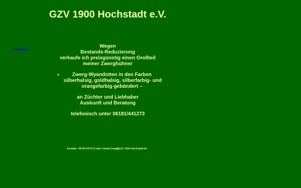 gzv-1900-hochstadt.de