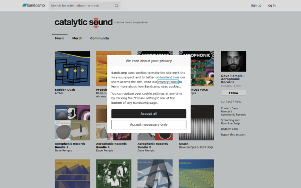 daverempiscatalyticsound.bandcamp.com