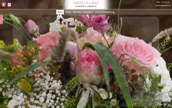 angela-lanz.de