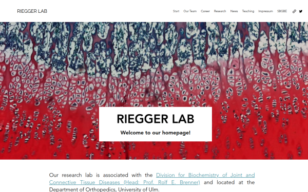 www.riegger-lab.de