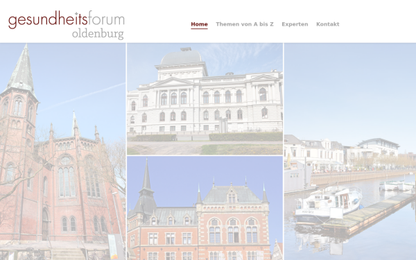 oldenburger-gesundheitsforum.de