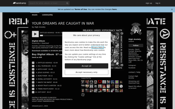 highanxietypunk.bandcamp.com
