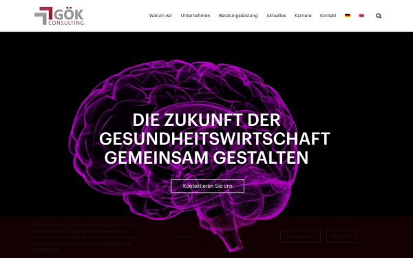 goek.consulting
