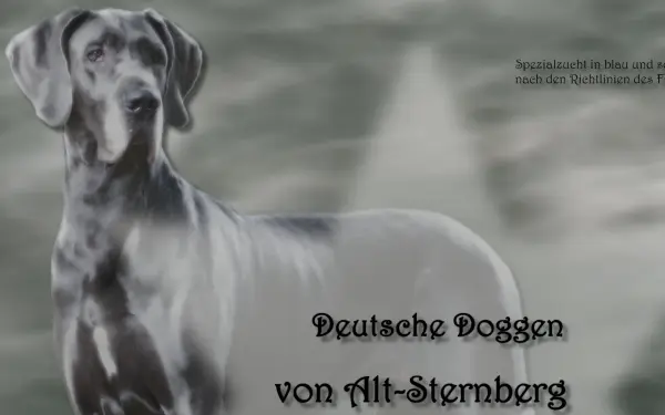 doggen-berg.de