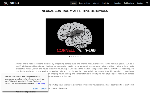www.yapicilab.com