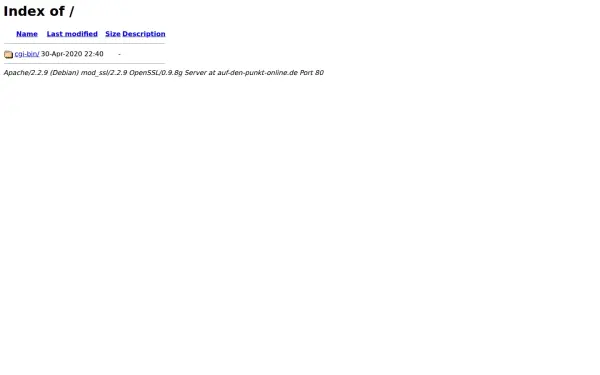 auf-den-punkt-online.de